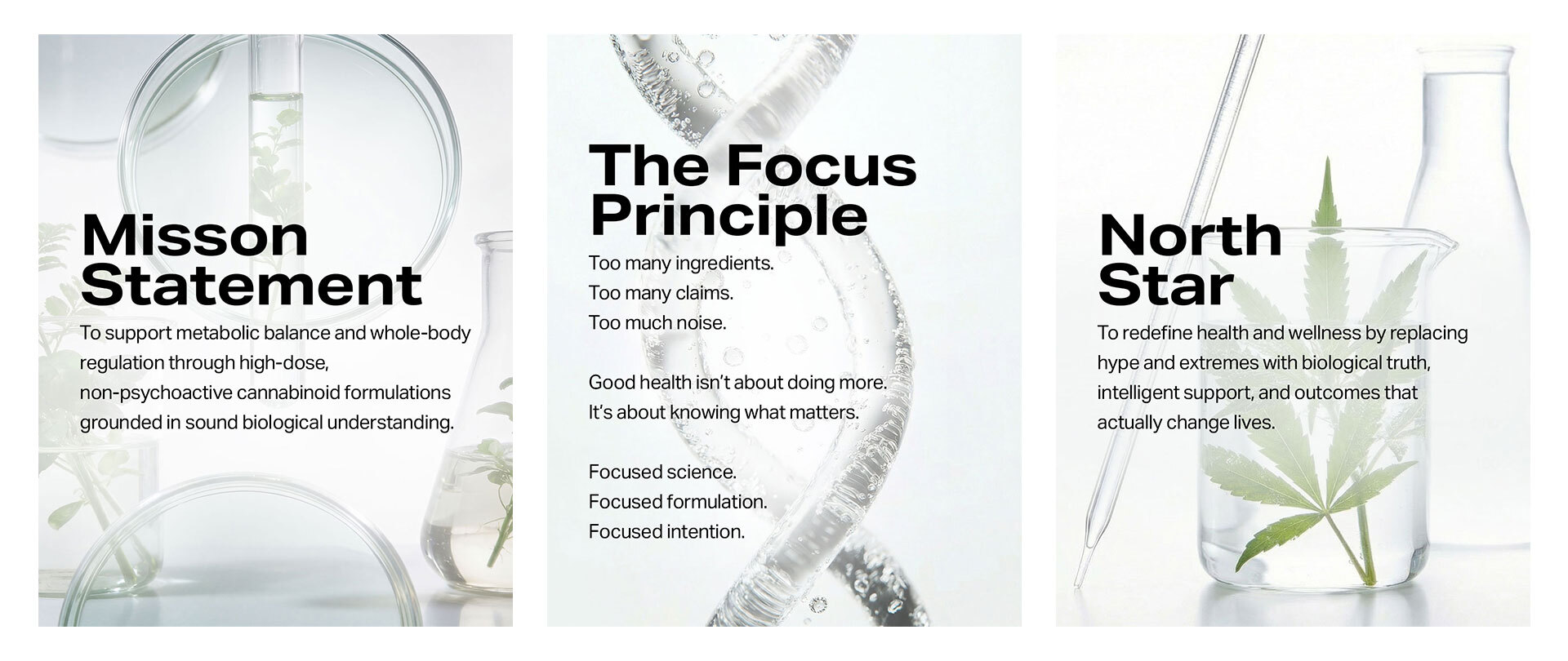 Focus Metabolics